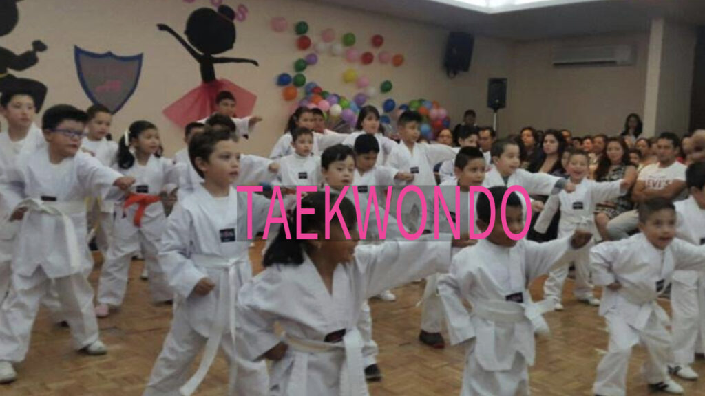 TAE KWON DO